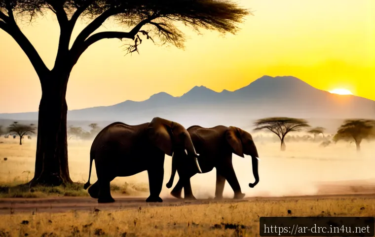 마이코 국립공원의 동물 생태 탐구 - Photorealistic African elephant family moving across the open savanna of Mikumi National Park, Tanza...